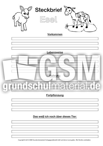 Esel-Steckbriefvorlage-sw-1.pdf